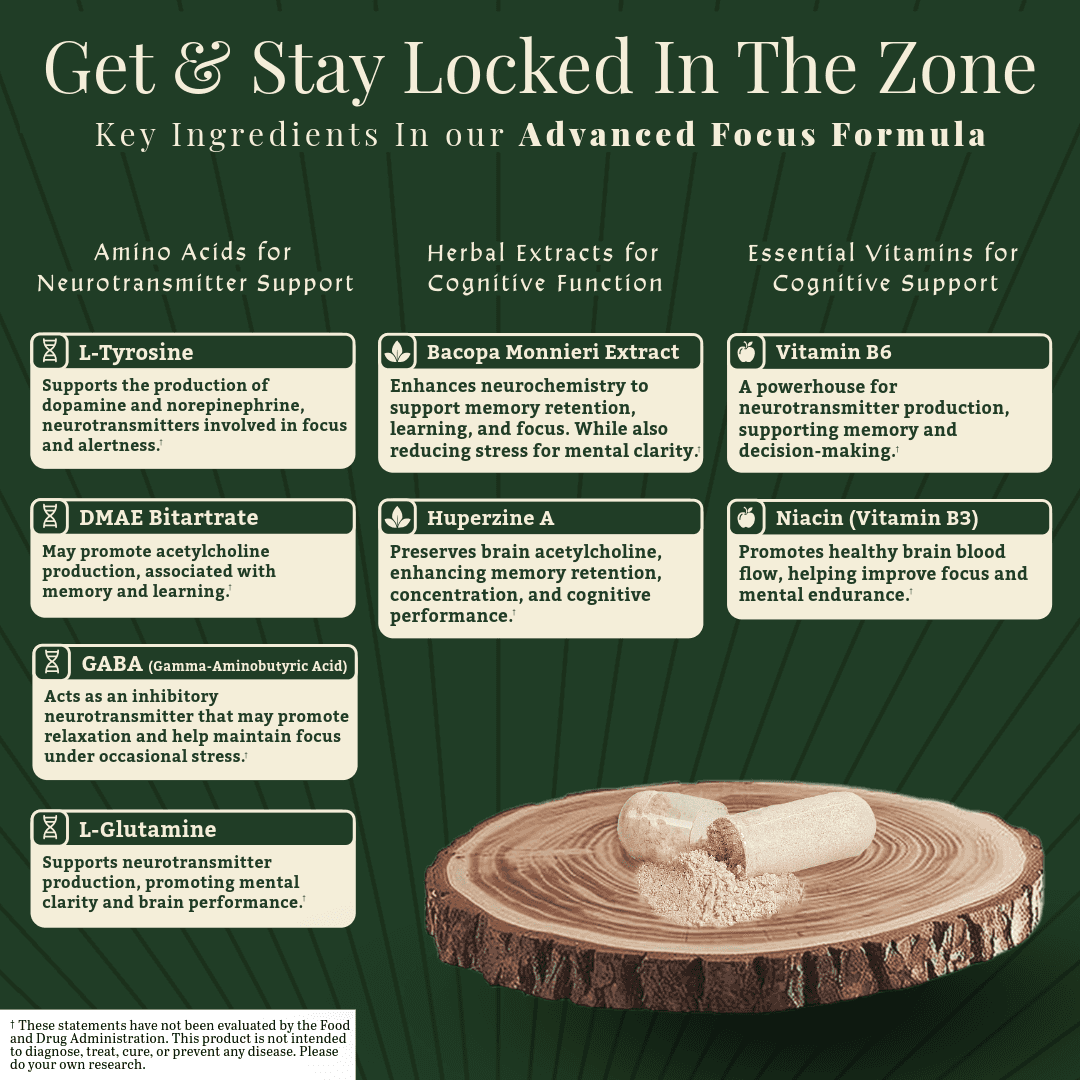 Quantum Focus by Cognitiv+ key ingredients chart showing amino acids, herbal extracts, and essential vitamins for focus, memory, and cognitive performance.