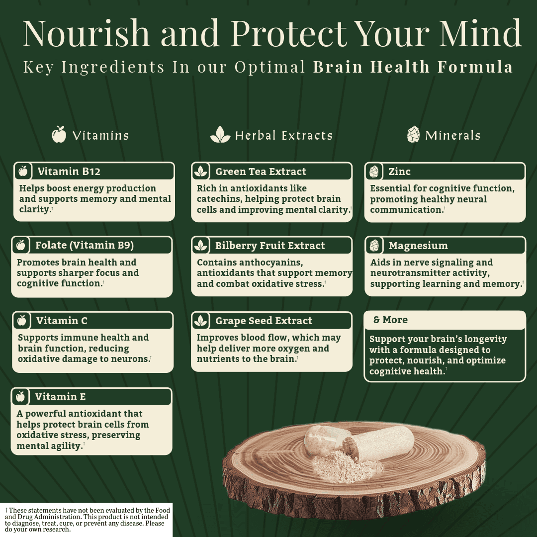 Quantum Focus by Cognitiv+ brain health formula ingredients including vitamins, minerals, and herbal extracts like green tea and bilberry for cognitive protection.